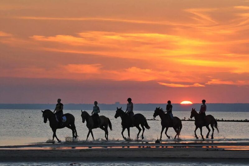 Borinquen Combo Tour