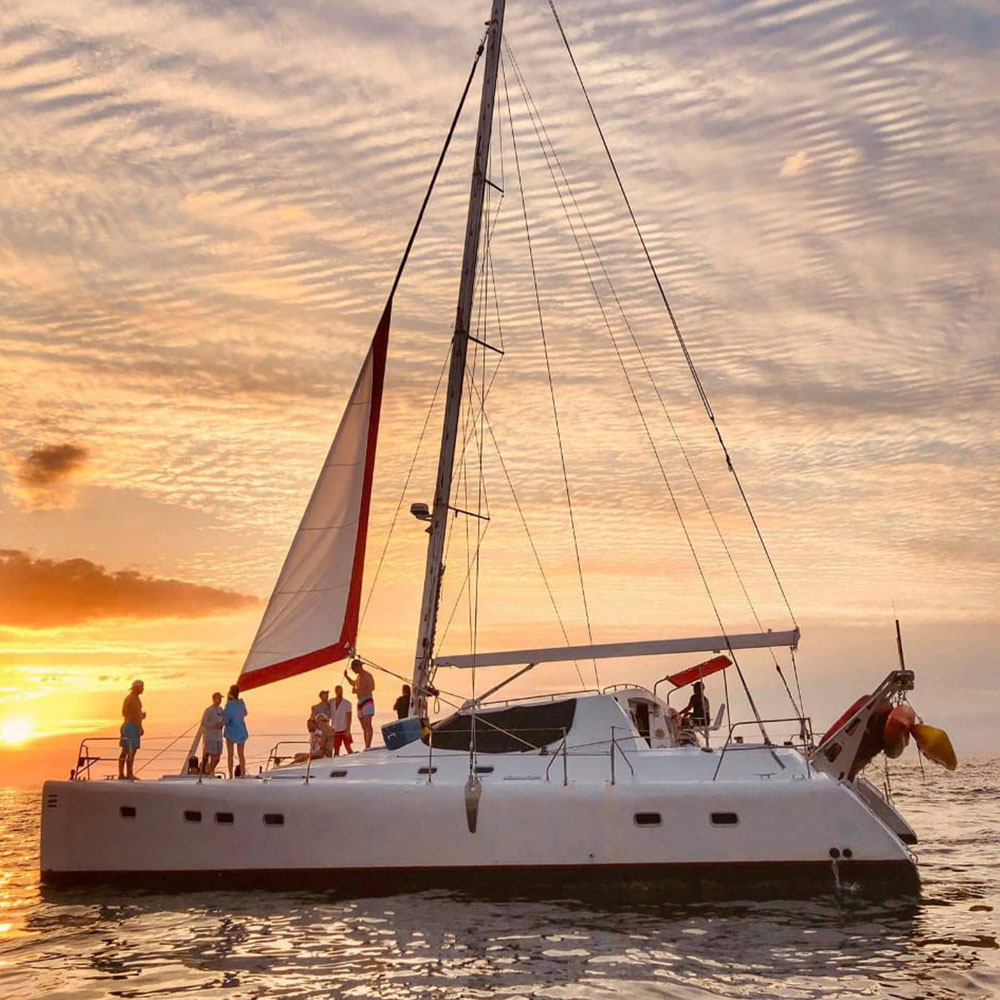 Catamaran Private Tour