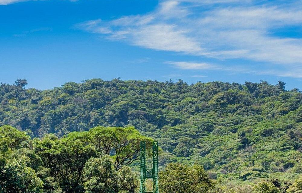 Monteverde Selvatura Park
