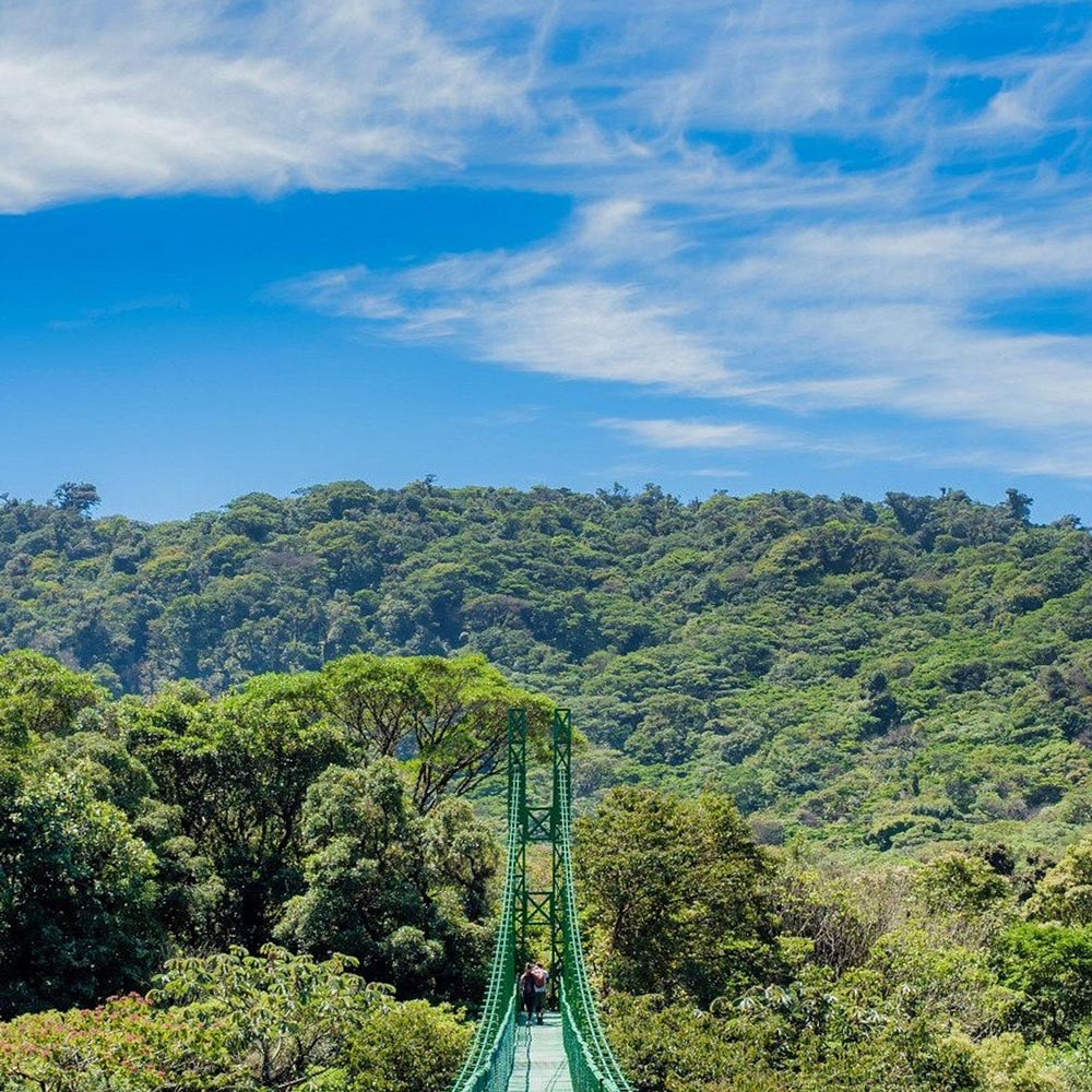 Monteverde Selvatura Park