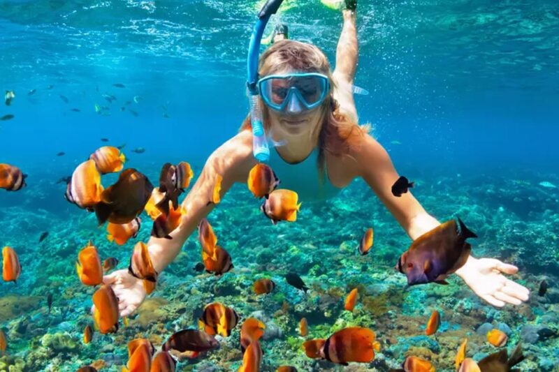 Snorkeling Trip